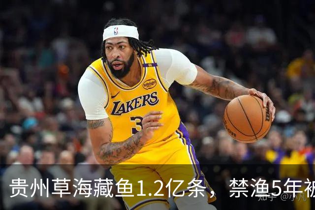 贵州草海藏鱼1.2亿条，禁渔5年被啃成秃海！长江能重蹈覆辙吗？